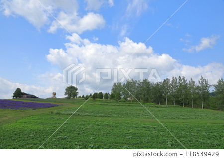 Flowerland上富良野初夏的清新山景 Flowerland上富良野初夏的清新山景 118539429