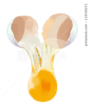 Egg (cracked) White egg 118540251