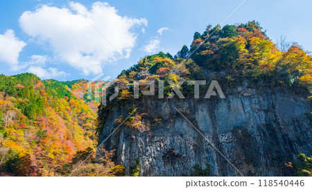 Ganryukyo Gorge (Autumn) Ganryukyo Gorge (Autumn) 118540446