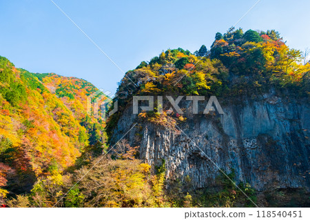 Ganryukyo Gorge (Autumn) 118540451