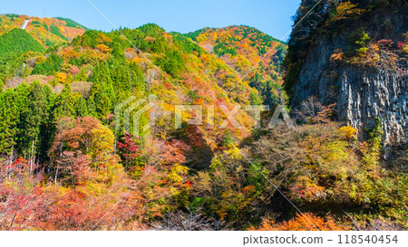 甘達峽(秋季) 甘達峽(秋季) 118540454