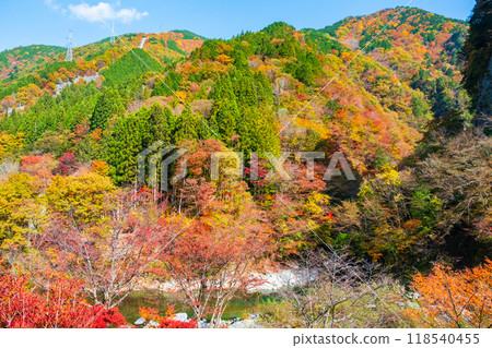 Ganryukyo Gorge (Autumn) Ganryukyo Gorge (Autumn) 118540455