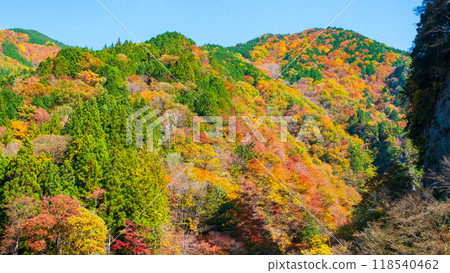 Ganryukyo Gorge (Autumn) Ganryukyo Gorge (Autumn) 118540462