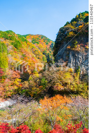 甘達峽（秋季） 118540467