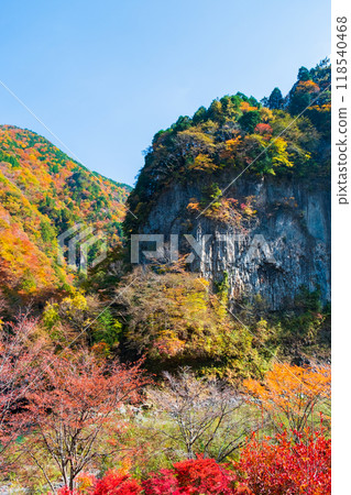 Ganryukyo Gorge (Autumn) 118540468