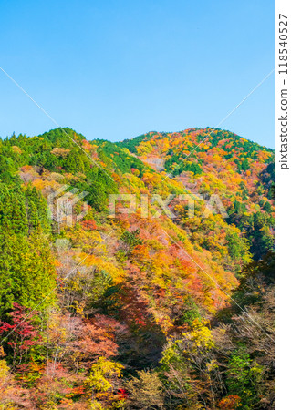 Ganryukyo Gorge (Autumn) Ganryukyo Gorge (Autumn) 118540527