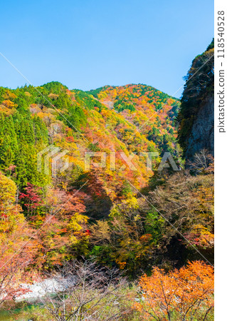 Ganryukyo Gorge (Autumn) Ganryukyo Gorge (Autumn) 118540528