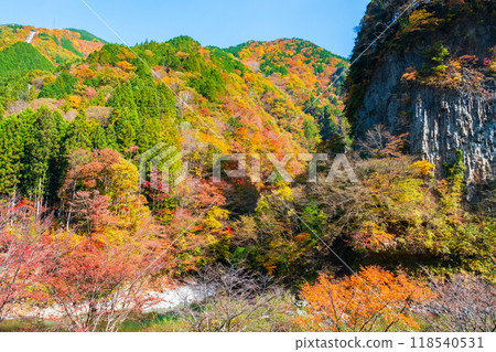 Ganryukyo Gorge (Autumn) 118540531