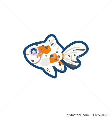 可愛的金魚（極光）的插圖 118540619