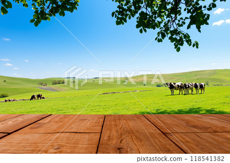 Rural landscape with cows grazing in a meadow, wooden table foreground 118541382