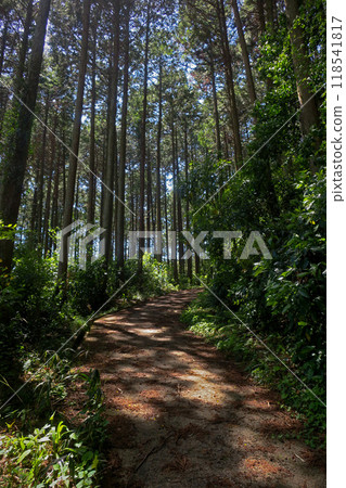 奈良皇宮高天彥神社參道 118541817