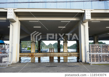 Nachikatsuura Fish Market 118543074