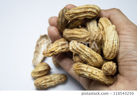 Peanuts are a natural source of protein and are popularly eaten around the world. Peanuts are a natural source of protein and are popularly eaten around the world. 118543250