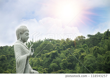Buddha statue outside on nature and green background with copy space 118543257
