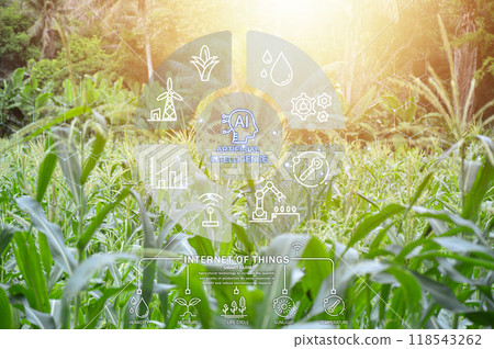 Ideas for using AI systems in conjunction with agriculture to increase productivity 118543262