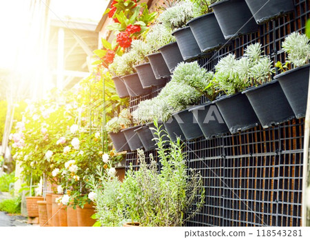 Hanging garden ideas are becoming popular. 118543281