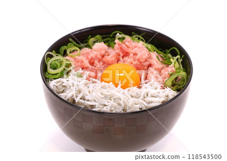 Seafood bowl: whitebait, seared tuna, green onion, egg, light background 118543500