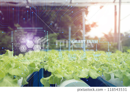 The concept of using AI and smart farming. 118543531