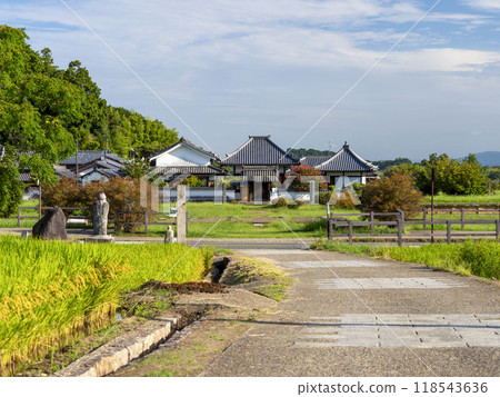 Kofukuji Temple, the ruins of Kawaradera Temple in Asuka Village 118543636