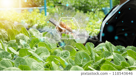 The concept of using AI and smart farming. The concept of using AI and smart farming. 118543646