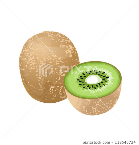 Green kiwi illustration 118543724