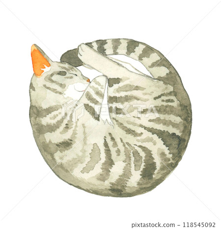 Sabatara貓（nyanmonite）蜷縮著睡覺，寵物和動物手繪水彩插畫素材 118545092