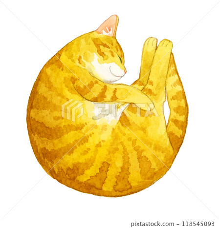 Brown tabby cat (Nyanmonite) sleeping curled up - Hand-drawn watercolor illustration of pets and animals Brown tabby cat (Nyanmonite) sleeping curled up - Hand-drawn watercolor illustration of pets and animals 118545093