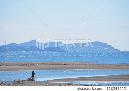 背景是室蘭宗六山的白尾鷹 背景是室蘭宗六山的白尾鷹 118545215