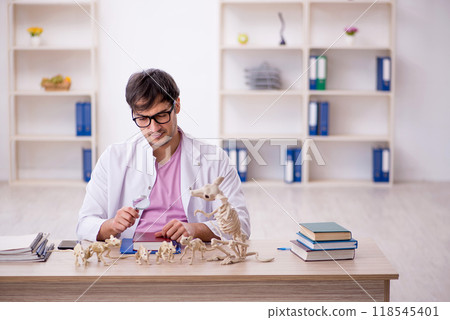 Young male paleontologist examining ancient animals at lab 118545401
