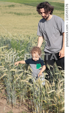 Father and little boy in field with spikelets of wheat. Family lifestyle. Nature and discovery. Kids and activities. Father and little boy in field with spikelets of wheat. Family lifestyle. Nature and discovery. Kids and activities. 118545576