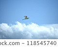 飛行在天空的漁場 118545740