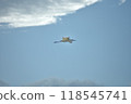 飛行在天空的漁場 118545741