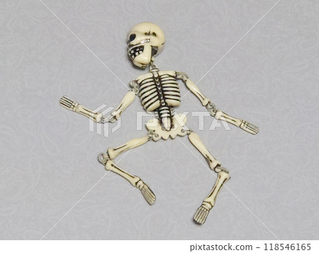 Lying Skeleton Lying Skeleton 118546165