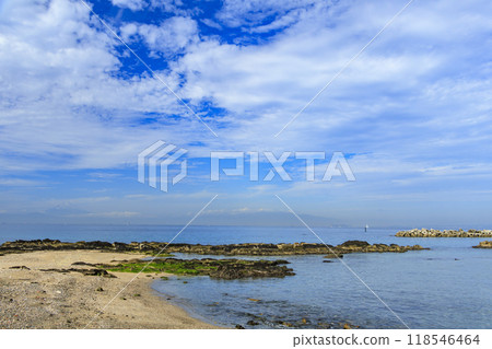 Rocky coast 118546464