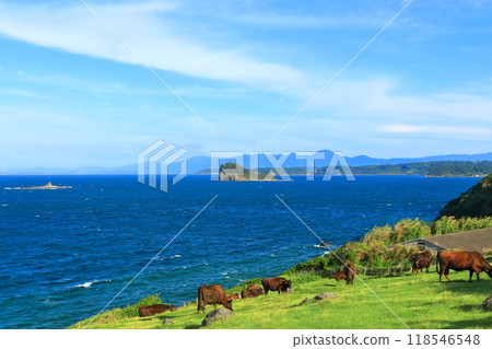 [佐賀縣] 陽光明媚的日子，杉野原牧場的乳牛 118546548