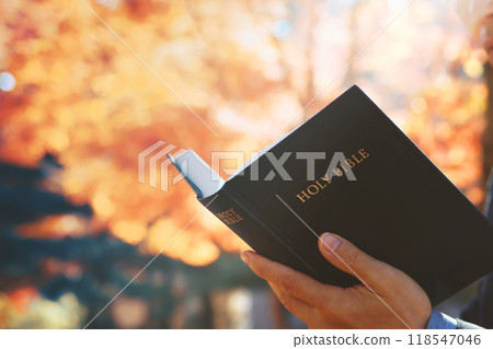 Christian holding holy bible and reading bible with beautiful red autumn leaves background 118547046