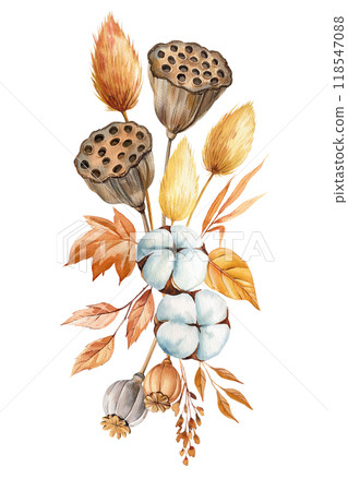 Fall composition with seed lotus, cotton flower, dry leaves isolated. Autumn flora watercolor painting for design poster 118547088