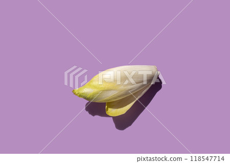 one fresh endive on lavender background, top view, copy space 118547714
