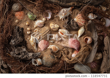 Beach themed background with snags, shells, stones, and sand. 118547731
