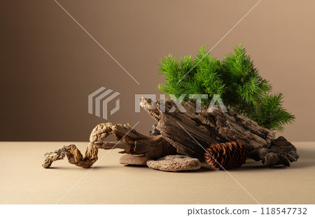 Abstract nature scene with a composition of spruce branches, stones, and dry snags. 118547732