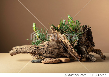 Abstract nature scene with a composition of pine branches, stones, and dry snags. 118547744