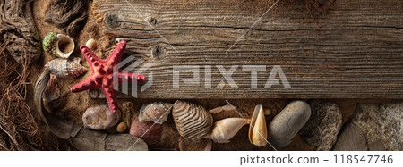 Beach themed background with driftwoods, shells, stones, and sand. 118547746