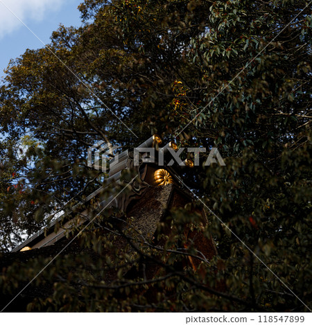 Building in Fushimi Inari Taisha shrine in Autumn season. Kyoto, Japan. 118547899