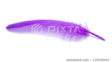 Fluffy bird feather violet color in studio isolated on the white Fluffy bird feather violet color in studio isolated on the white 118548442