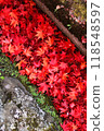 Autumn leaves spread out in the ditch 118548597