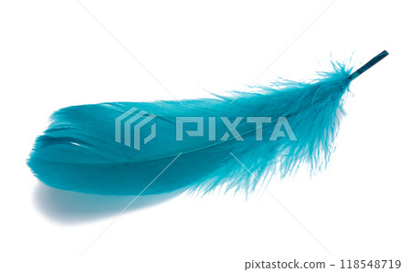 Elegant blue bird feather isolated on the white Elegant blue bird feather isolated on the white 118548719