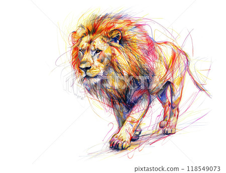 Vibrant, colorful sketch of a majestic lion in motion. Dynamic pencil lines emphasize power and grace, perfect for wildlife and art enthusiasts. Animals painting. 118549073