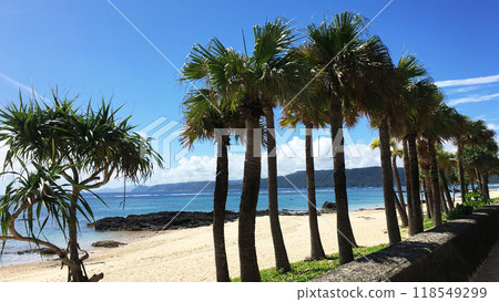 美麗的熱帶海灘和天藍色的天空 美麗的熱帶海灘和天藍色的天空 118549299