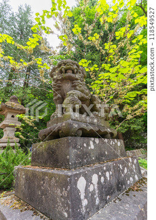 Stone dog statue on Mt. Iimori 118549527