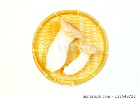 King oyster mushroom 118549728